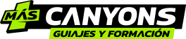 logo-mas